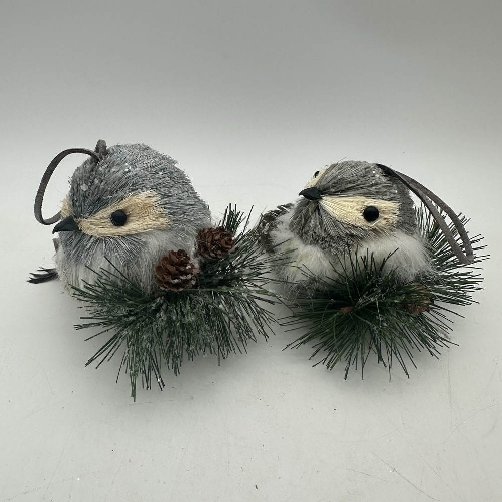 Pier 1 Lot Of 2 Bird Sisal Straw Winter Woodlands Decorations Ornaments 4"